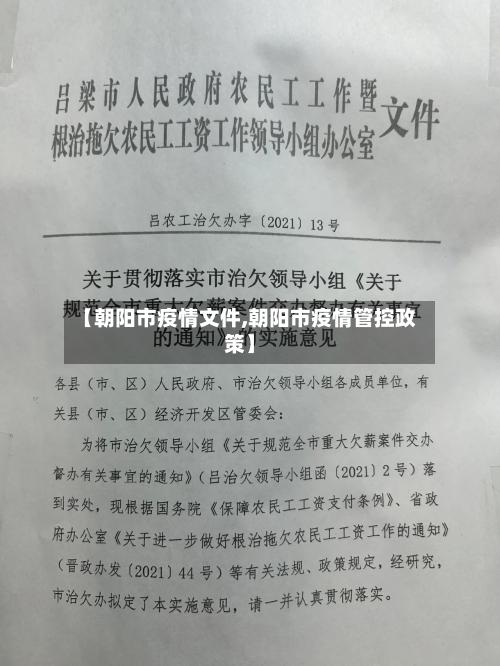 【朝阳市疫情文件,朝阳市疫情管控政策】-第2张图片