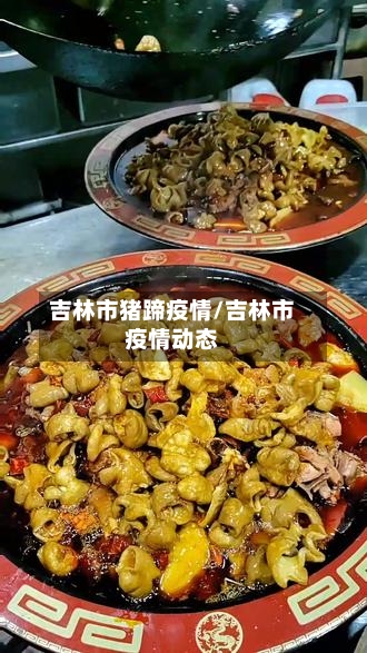 吉林市猪蹄疫情/吉林市疫情动态