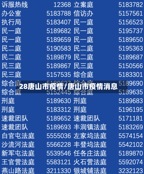 28唐山市疫情/唐山市疫情消息-第2张图片