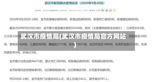 武汉市疫情局(武汉市疫情局官方网站)