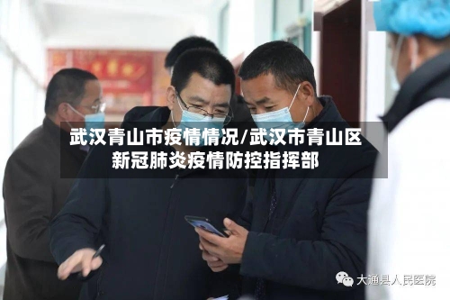 武汉青山市疫情情况/武汉市青山区新冠肺炎疫情防控指挥部