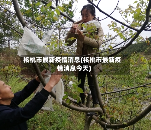 核桃市最新疫情消息(核桃市最新疫情消息今天)