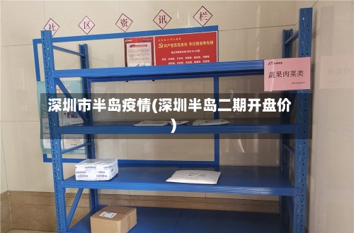 深圳市半岛疫情(深圳半岛二期开盘价)
