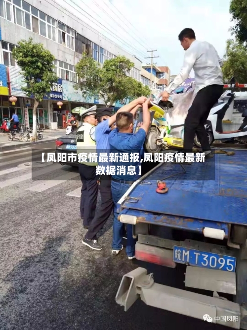 【凤阳市疫情最新通报,凤阳疫情最新数据消息】-第3张图片