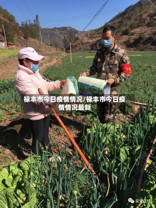 禄丰市今日疫情情况/禄丰市今日疫情情况最新