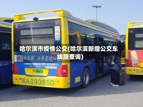 哈尔滨市疫情公交(哈尔滨新增公交车线路查询)