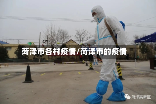 菏泽市各村疫情/菏泽市的疫情