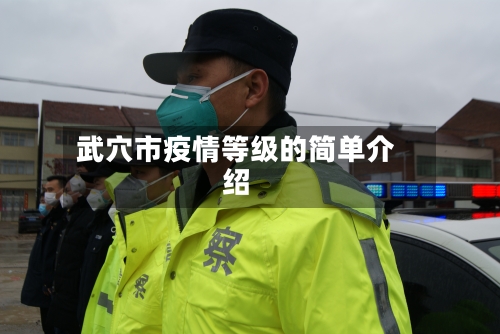 武穴市疫情等级的简单介绍