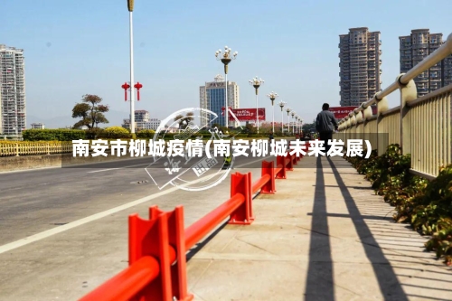 南安市柳城疫情(南安柳城未来发展)
