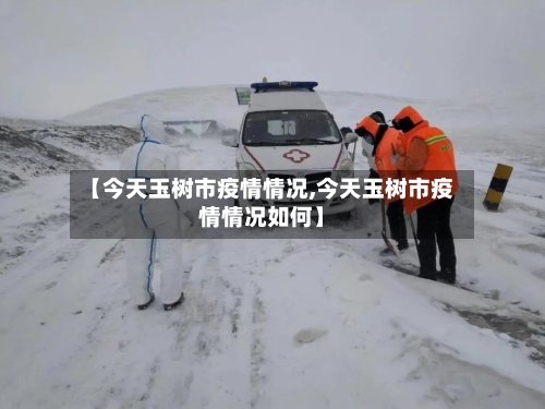 【今天玉树市疫情情况,今天玉树市疫情情况如何】