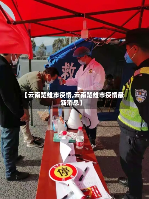 【云南楚雄市疫情,云南楚雄市疫情最新消息】-第3张图片