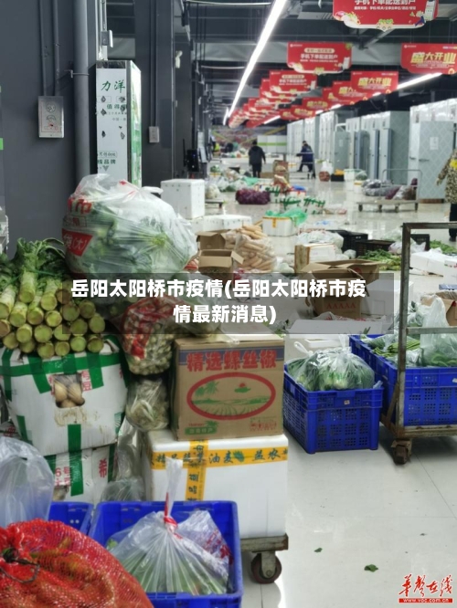 岳阳太阳桥市疫情(岳阳太阳桥市疫情最新消息)