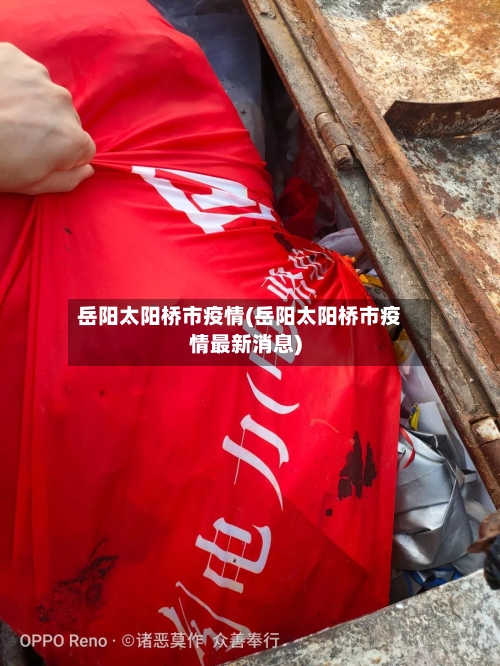 岳阳太阳桥市疫情(岳阳太阳桥市疫情最新消息)-第2张图片