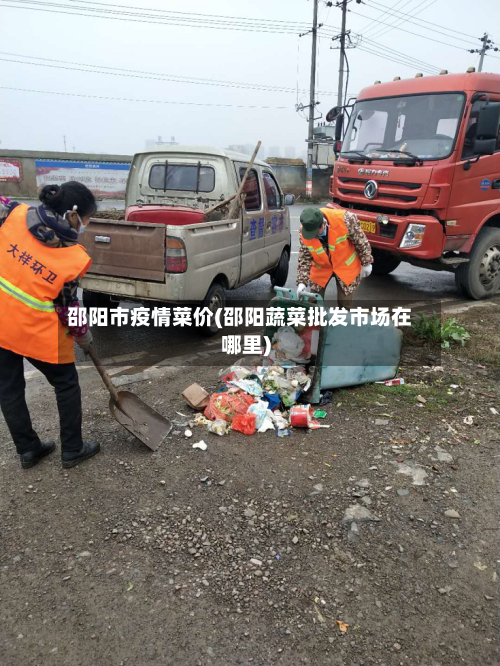 邵阳市疫情菜价(邵阳蔬菜批发市场在哪里)