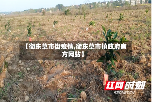 【衡东草市街疫情,衡东草市镇政府官方网站】-第2张图片