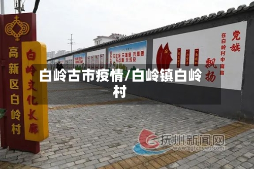 白岭古市疫情/白岭镇白岭村-第2张图片