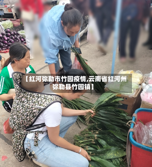 【红河弥勒市竹园疫情,云南省红河州弥勒县竹园镇】