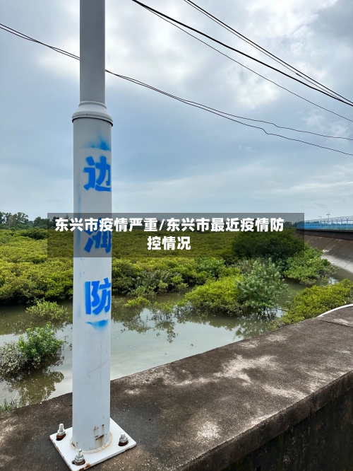 东兴市疫情严重/东兴市最近疫情防控情况