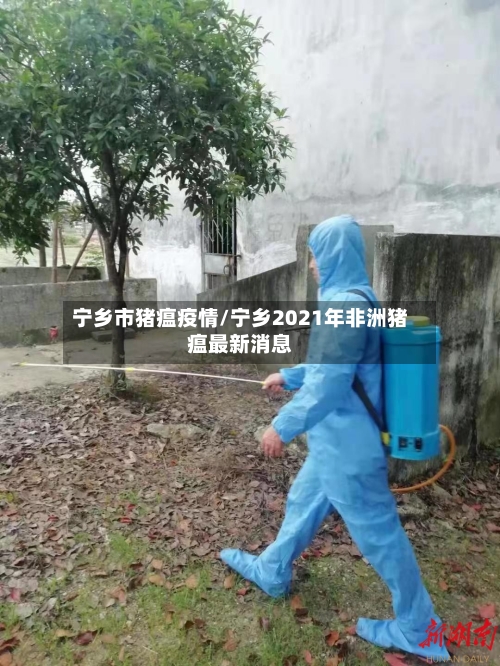宁乡市猪瘟疫情/宁乡2021年非洲猪瘟最新消息