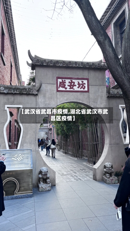 【武汉省武昌市疫情,湖北省武汉市武昌区疫情】