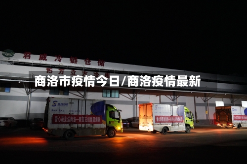 商洛市疫情今日/商洛疫情最新-第2张图片