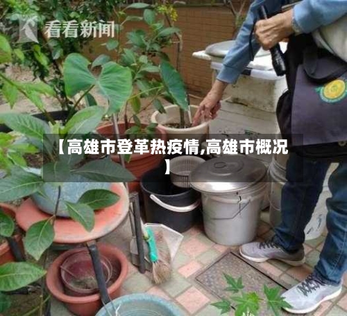 【高雄市登革热疫情,高雄市概况】
