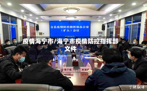疫情海宁市/海宁市疫情防控指挥部文件