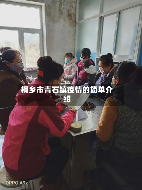 桐乡市青石镇疫情的简单介绍-第2张图片