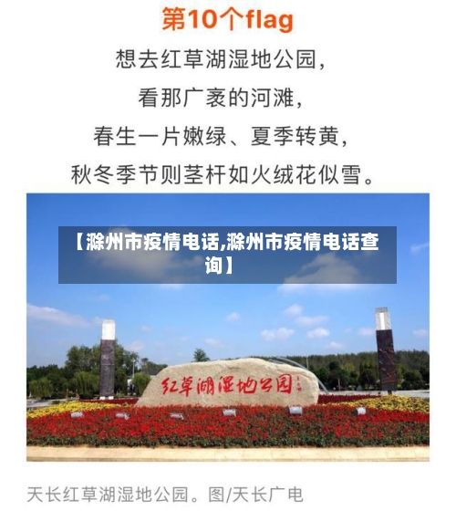 【滁州市疫情电话,滁州市疫情电话查询】-第2张图片