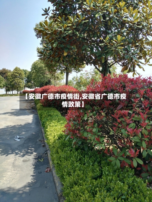 【安徽广德市疫情街,安徽省广德市疫情政策】