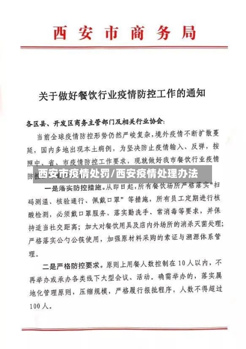 西安市疫情处罚/西安疫情处理办法