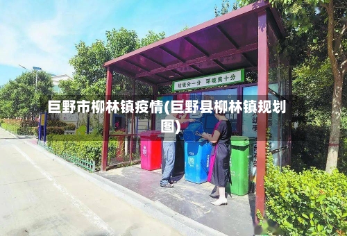 巨野市柳林镇疫情(巨野县柳林镇规划图)