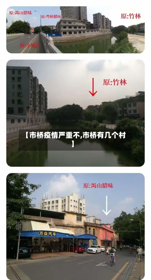 【市桥疫情严重不,市桥有几个村】