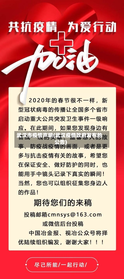 武汉市疫情声明(武汉疫情政府发布的公告)-第3张图片