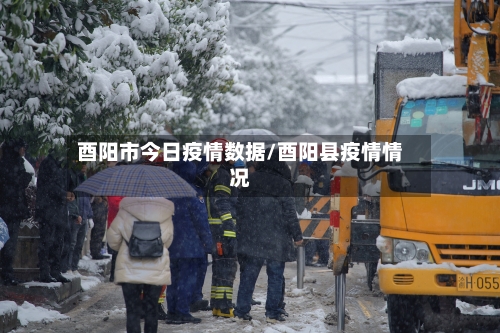 酉阳市今日疫情数据/酉阳县疫情情况