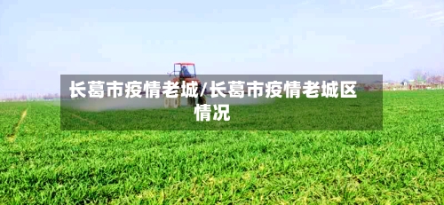 长葛市疫情老城/长葛市疫情老城区情况