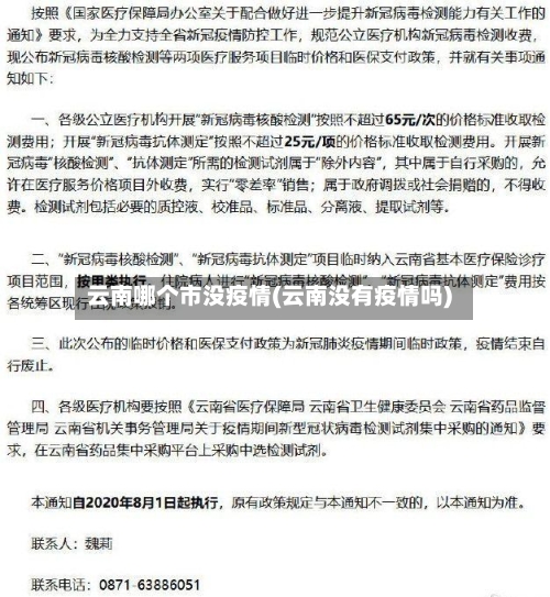 云南哪个市没疫情(云南没有疫情吗)-第3张图片