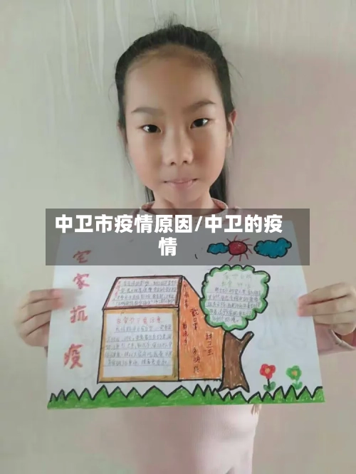 中卫市疫情原因/中卫的疫情-第2张图片