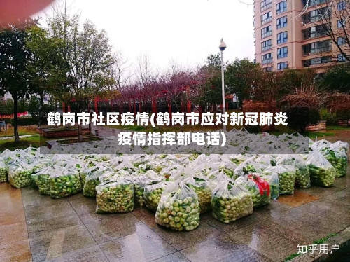 鹤岗市社区疫情(鹤岗市应对新冠肺炎疫情指挥部电话)