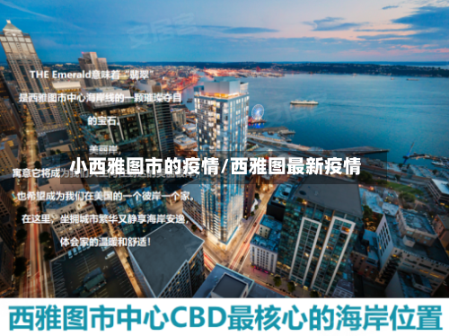 小西雅图市的疫情/西雅图最新疫情