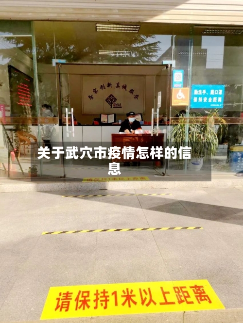 关于武穴市疫情怎样的信息