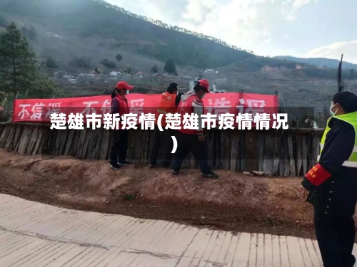 楚雄市新疫情(楚雄市疫情情况)