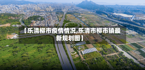 【乐清柳市疫情情况,乐清市柳市镇最新规划图】-第2张图片