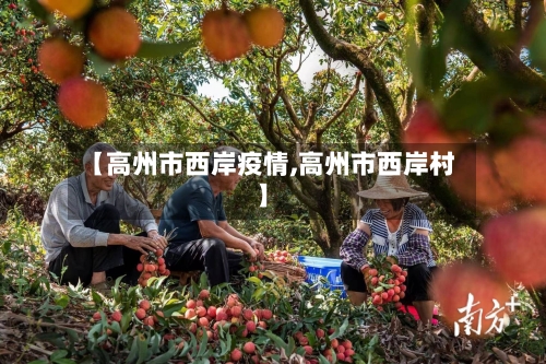 【高州市西岸疫情,高州市西岸村】