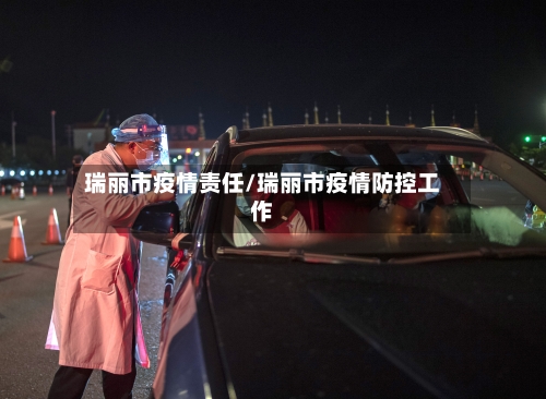 瑞丽市疫情责任/瑞丽市疫情防控工作