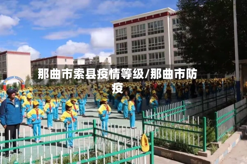 那曲市索县疫情等级/那曲市防疫-第2张图片