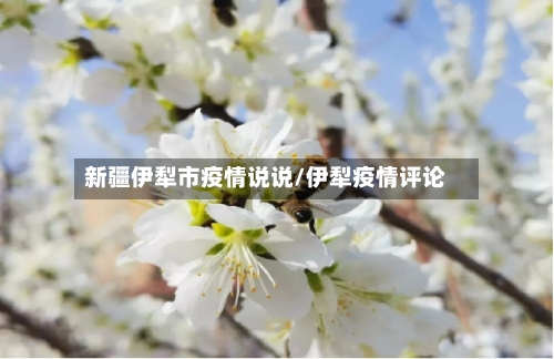 新疆伊犁市疫情说说/伊犁疫情评论-第3张图片