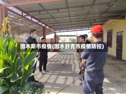 图木斯市疫情(图木舒克市疫情防控)-第3张图片