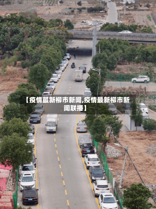 【疫情最新柳市新闻,疫情最新柳市新闻联播】-第3张图片