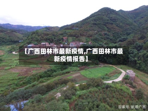 【广西田林市最新疫情,广西田林市最新疫情报告】